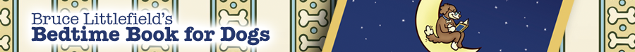Chameleon Logo